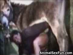 In an act of beastiality, a zoophilia-addicted whore deepthroats the animal's dick and is brutally drilled.